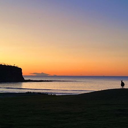 Alexander'S Cottage, Pebbly Beach East Lynne 외부 사진