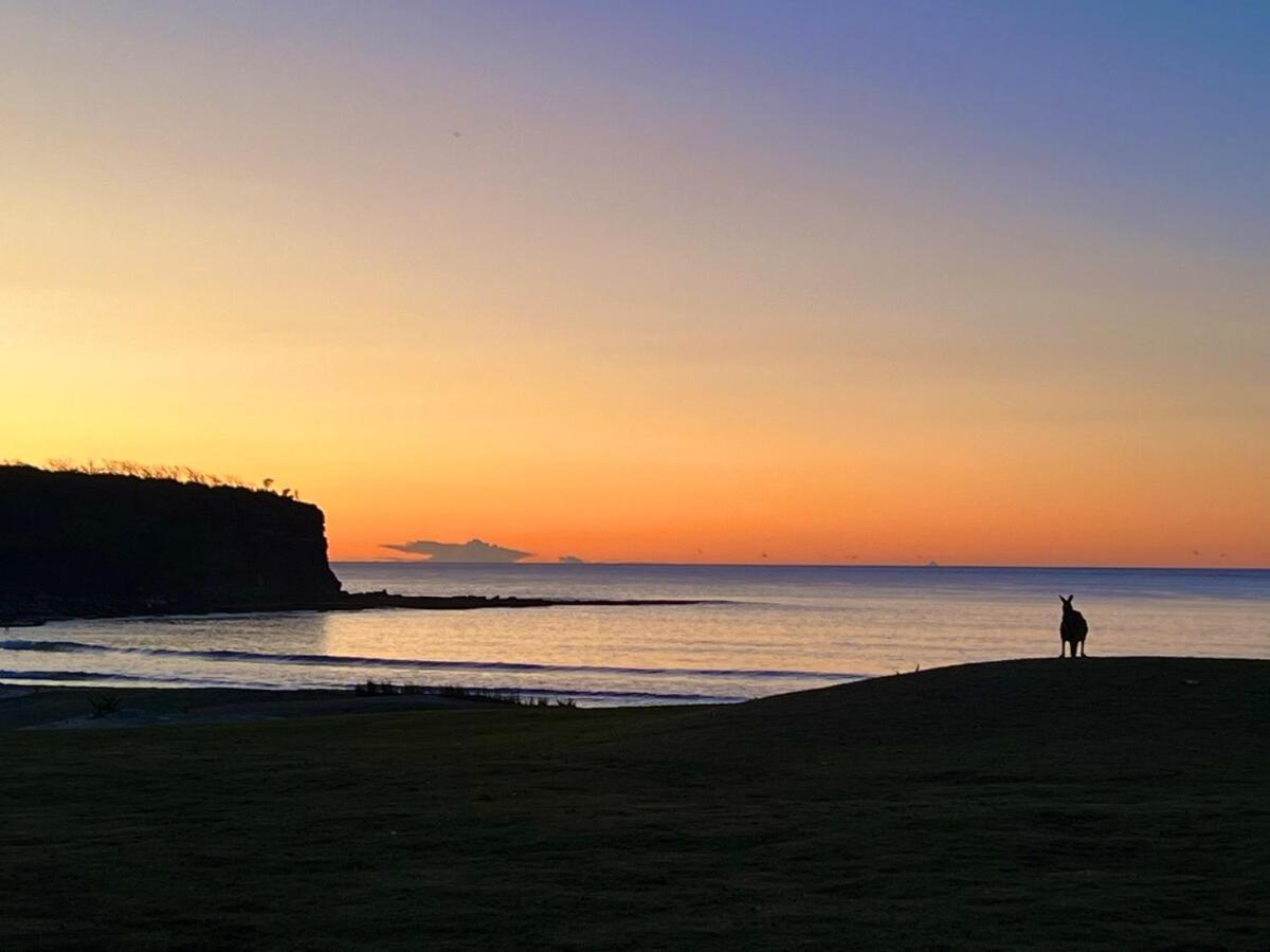 Alexander'S Cottage, Pebbly Beach East Lynne 외부 사진